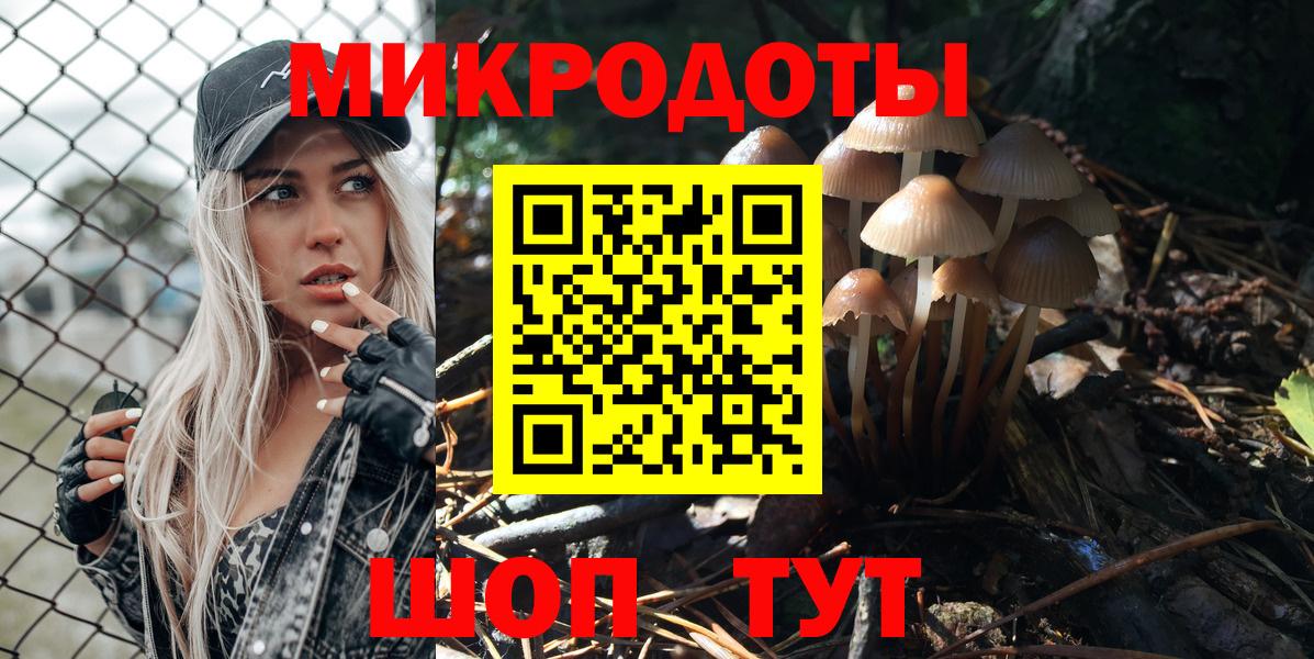 Галлюциногенные грибы Psilocybine cubensis Кирово-Чепецк